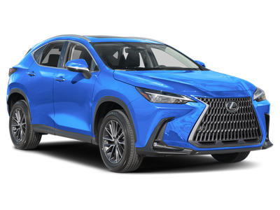 2024 Lexus NX 250 Premium