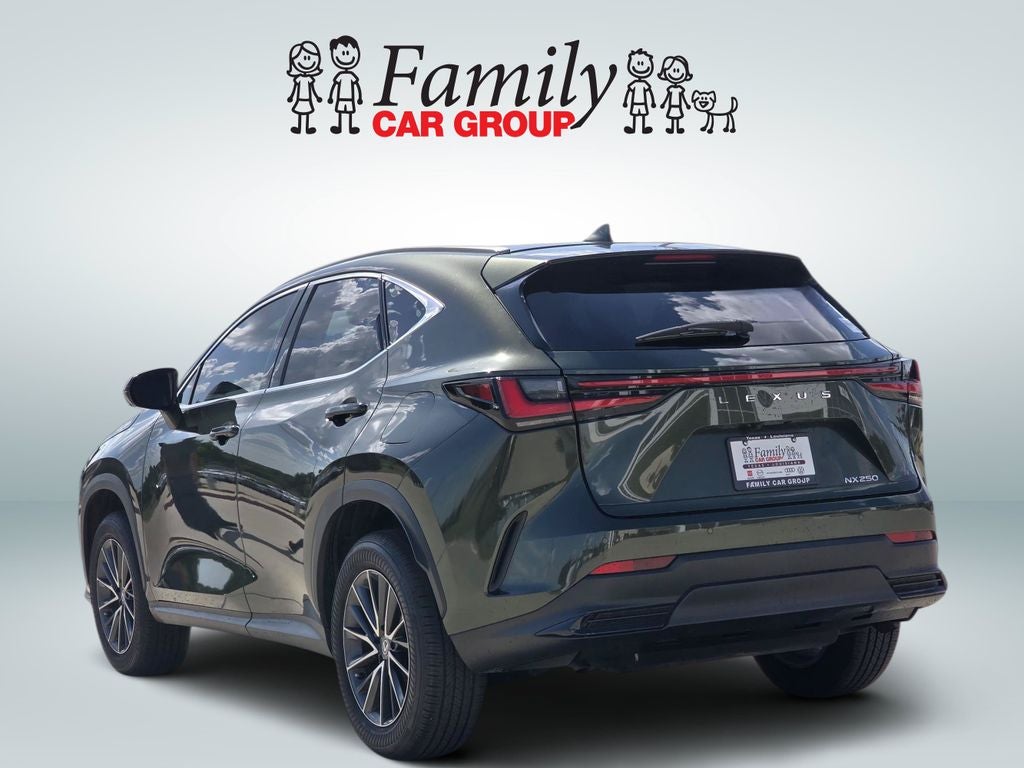 2024 Lexus NX 250 Premium