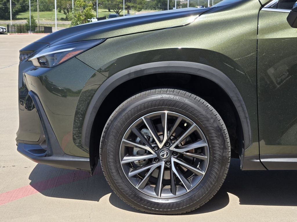 2024 Lexus NX 250 Premium