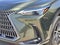 2024 Lexus NX 250 Premium