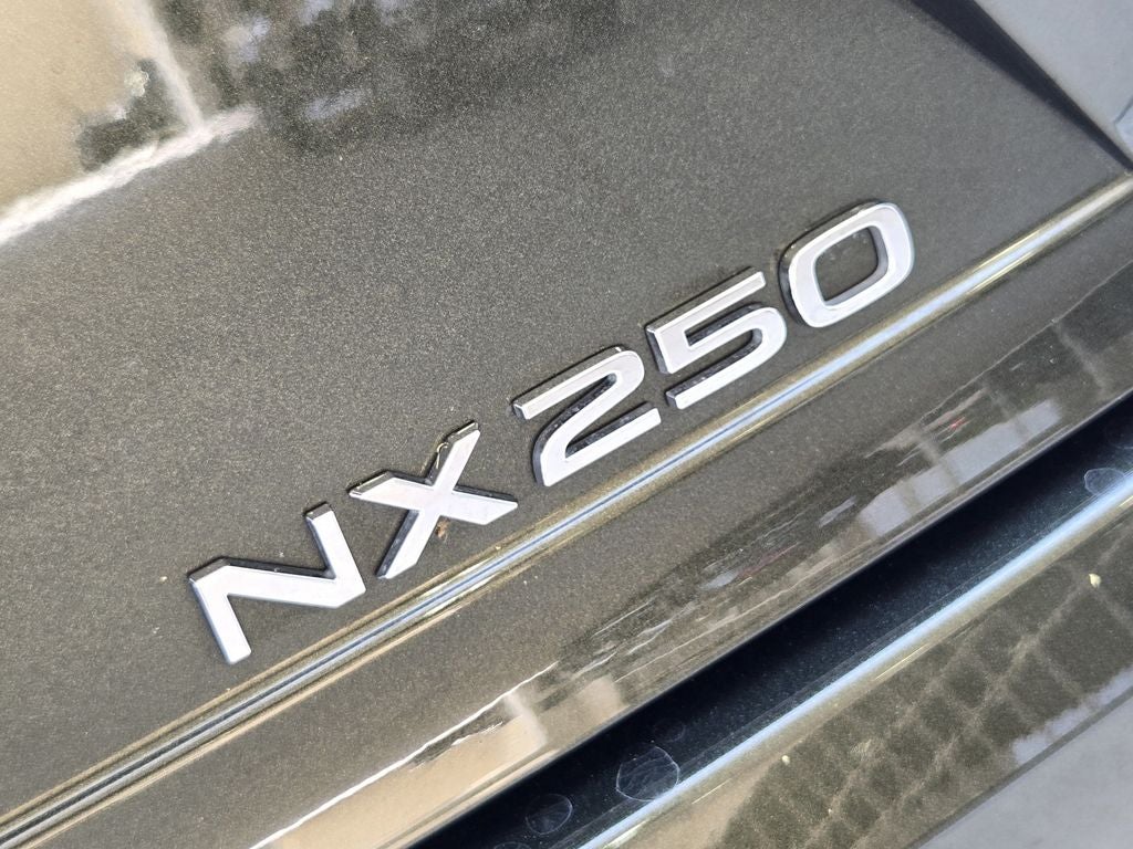 2024 Lexus NX 250 Premium