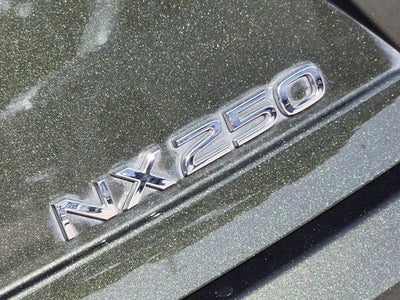 2024 Lexus NX 250 Premium