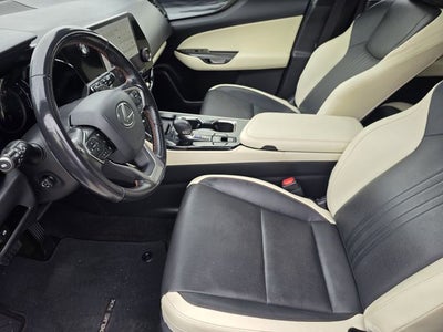 2024 Lexus NX 250 Premium