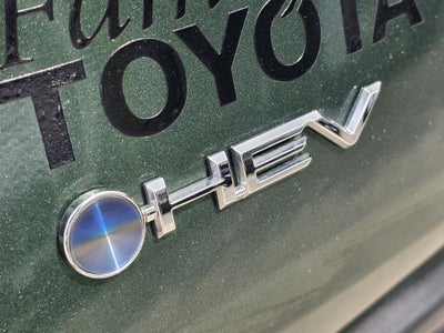 2025 Toyota Sienna XLE 8 Passenger