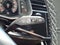 2026 Audi Q7 45 Premium Plus quattro